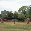 Woodpile