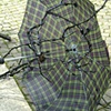 Divining Rod