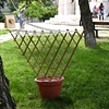 Hammock