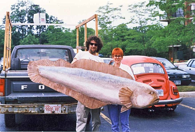 Fish with Continuous Fin
