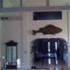 Armor-plated Fish