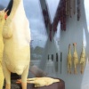 Butcher Shop Window