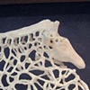 BONEY