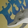 Ford School Dolphins