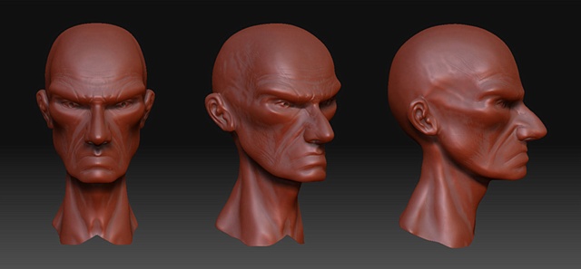 ZBrush and MudBox Head Study.