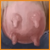 Angus_B