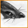 Rat Dood