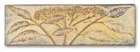 Elderberry Border 2x6