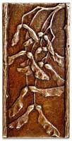 Maple 3x6