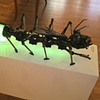 Eric Schultz

"Megasneech"