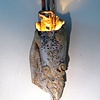 "Hidden Meaning Light" by Carol Sivin