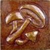 Mushrooms 4x4
