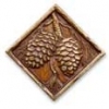 Pine Cone 3x3