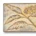 Elderberry Border 2x6