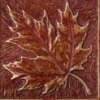 Maple Leaf 4x4