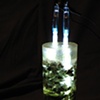 Experiment 1