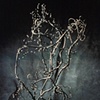 Deep Roots
