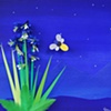 night blooms