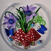 terrarium for faries