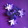 flying in purple