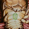 Evolve from within, (the beginning)