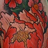 Peony with Cherry blossoms