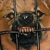 Dog Portrait