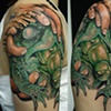 Frog and Locust 