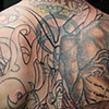 cover up in progress