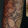 Flowers and butterflies