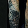 Raven/Angel