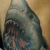 Shark cover up
