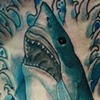 Great white 