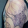 Squid, Jellyfish, Angler fish