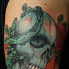 Skull with snake