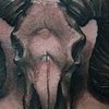 Ram Skull