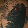 Koi with lotus