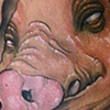 Pig head