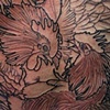 Fighting Roosters
