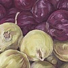Purple Onion