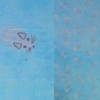 mice (with detail)