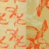 hawk (with detail)