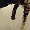 fixed stray
(pause)