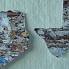 the great pacific garbage patch
(is twice the size of texas)