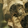 hive plans