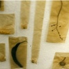 collect and preserve