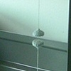 magnet experiment