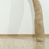 tusk
