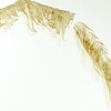 arc