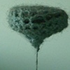 magnet experiment detail